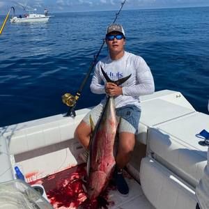 Meet your Posher, Christopher